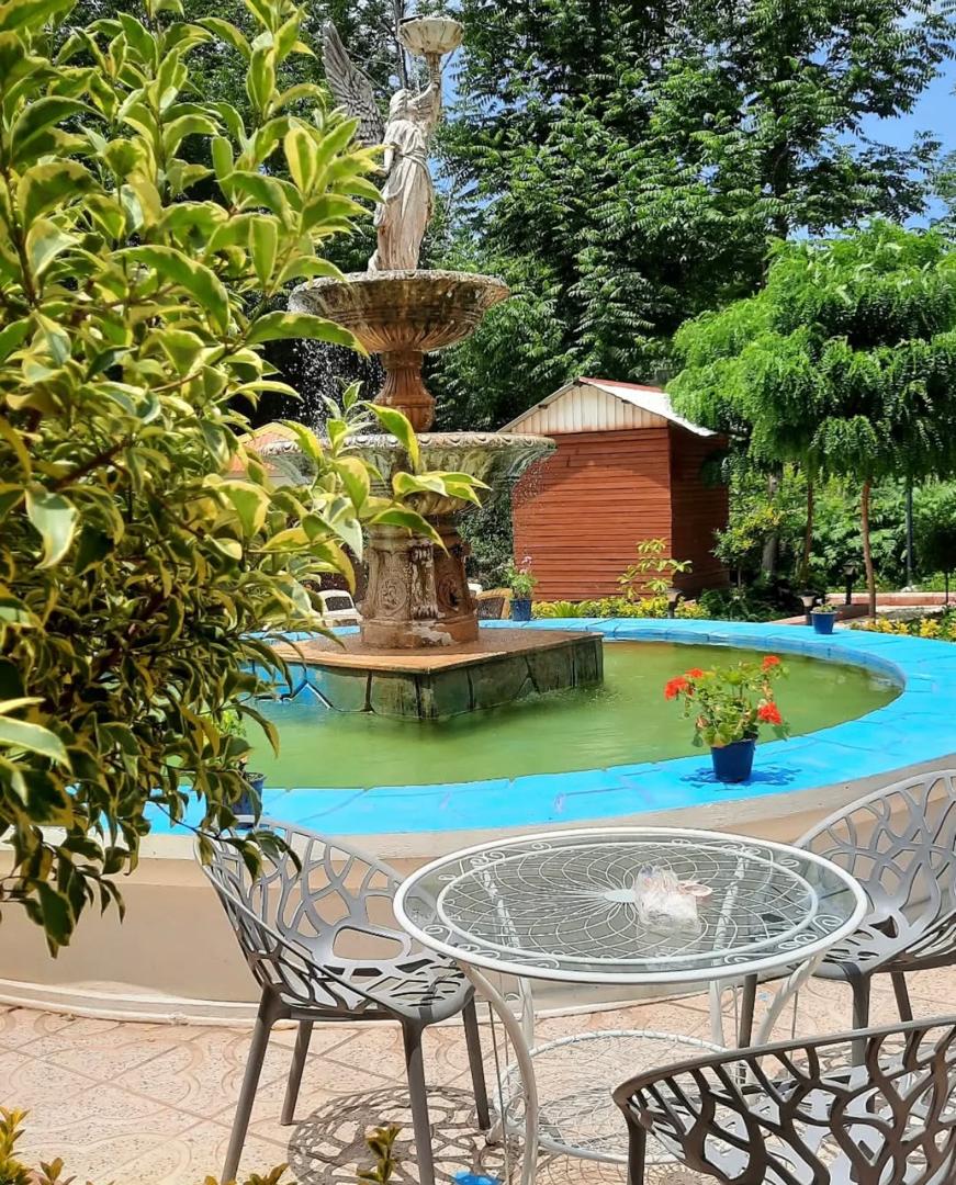 گالری تصاویر